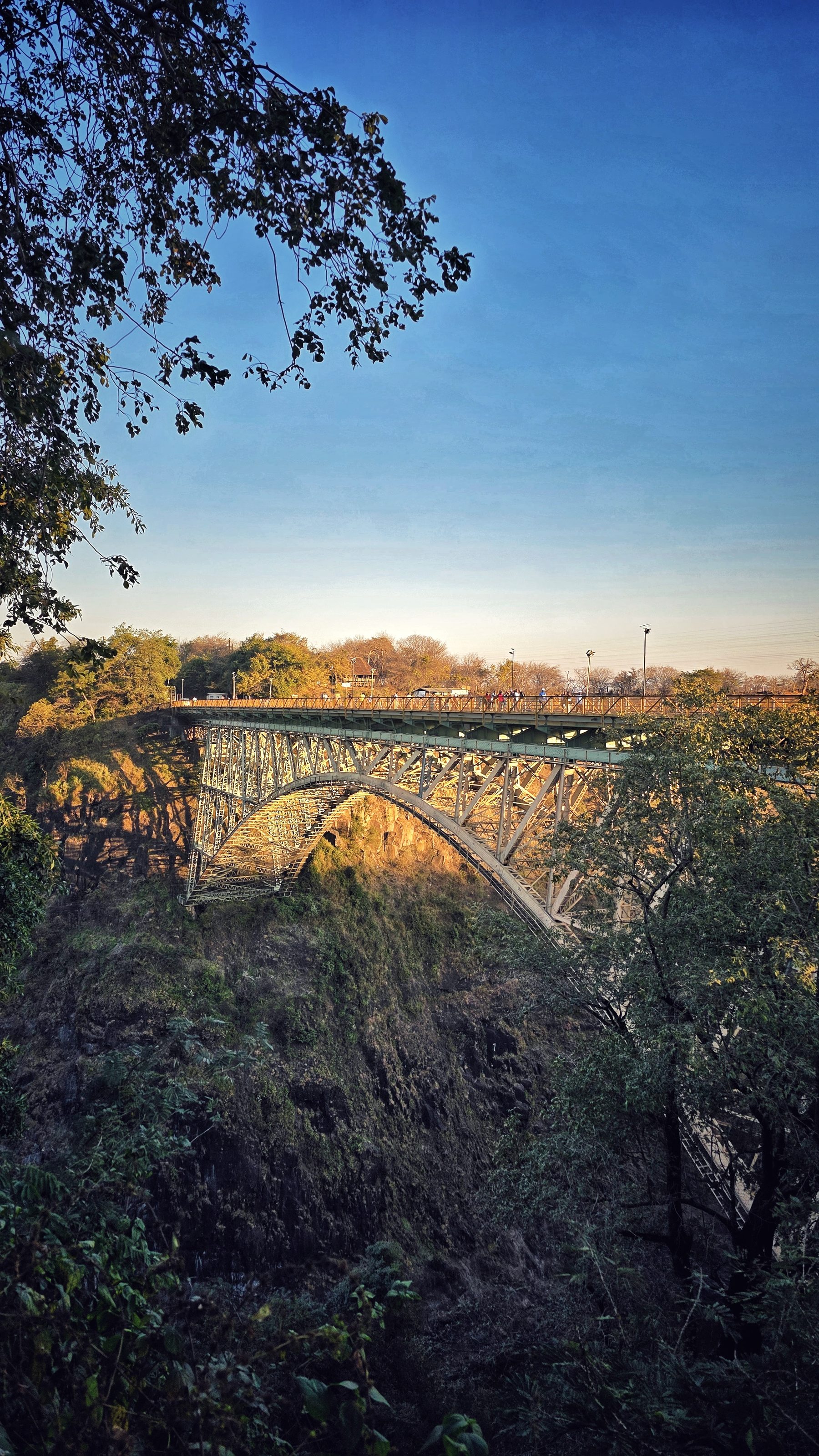 Victoria Falls Bridge ponad zalesionym wąwozem Zambezi