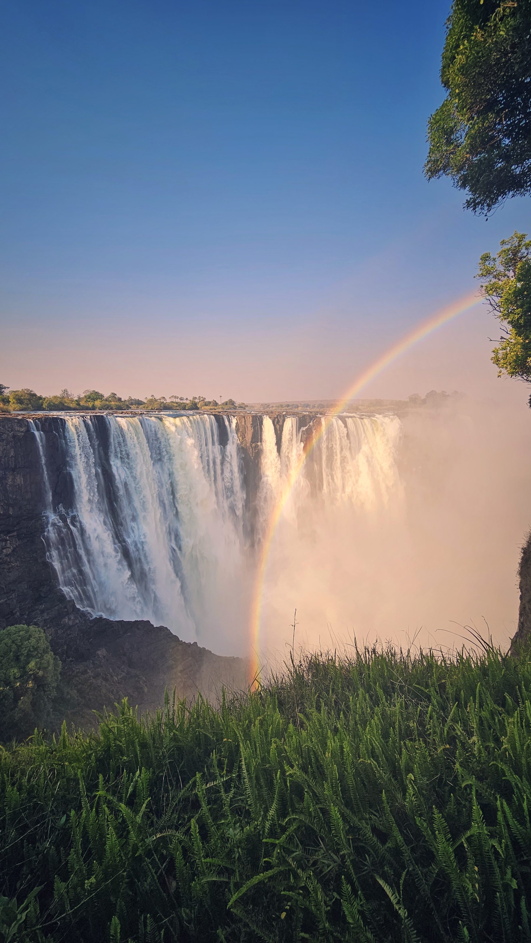 Victoria Falls z tęczą nad wąwozem i zielonym brzegiem